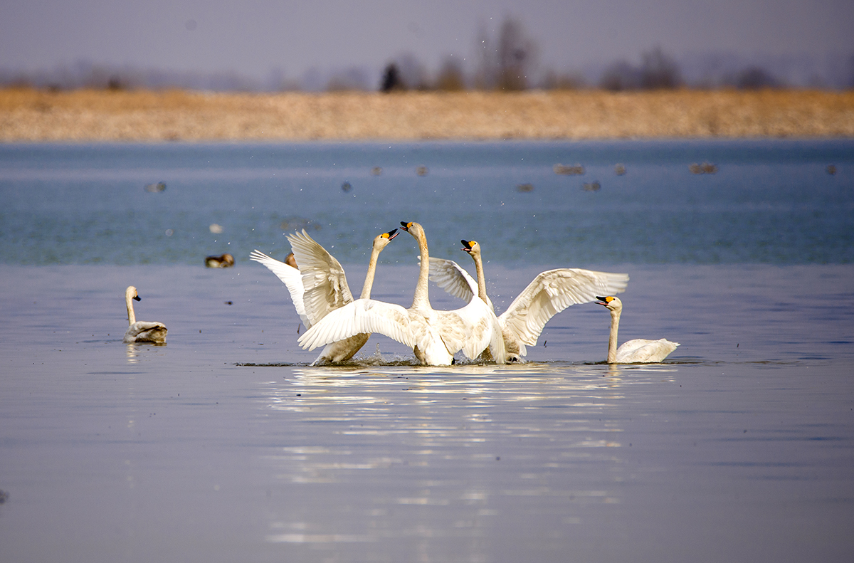 微信圖片_20230531173211