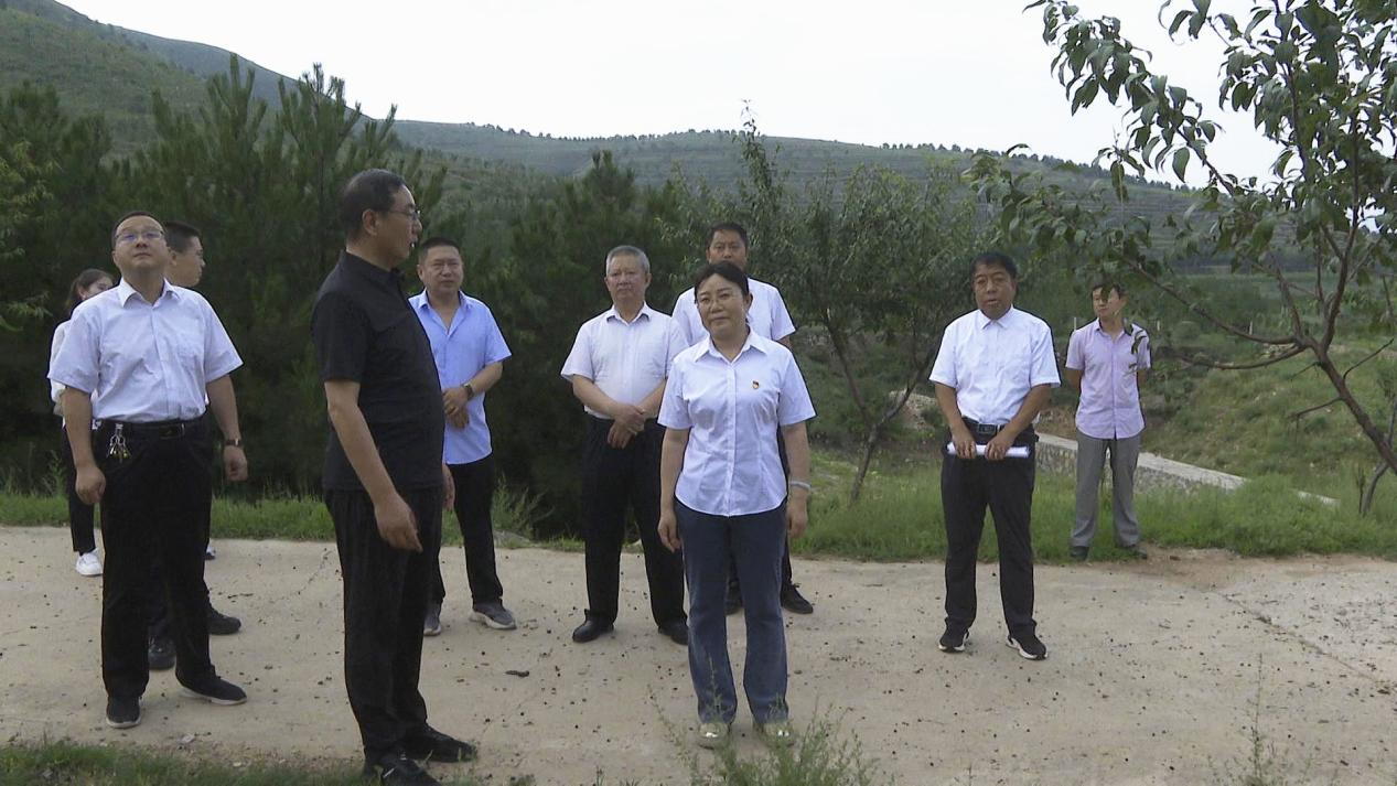 /website-webapp/ewebeditor/uploadfile/20240805092332999